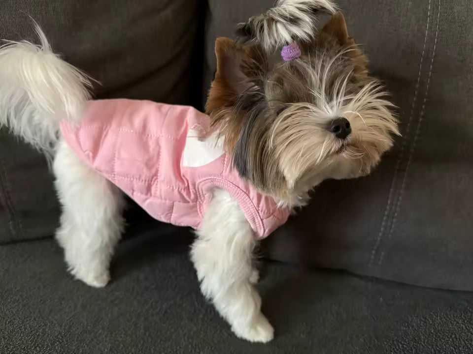 The Dog Face™ Street Puffer