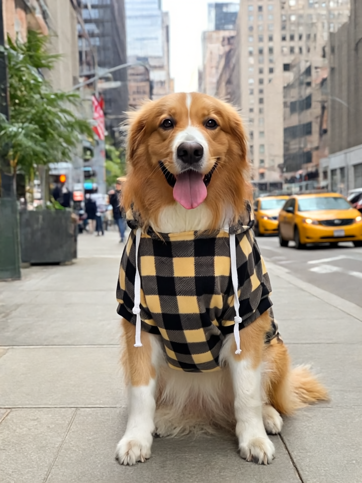 The Dog Face™ Pawformance Hoodie