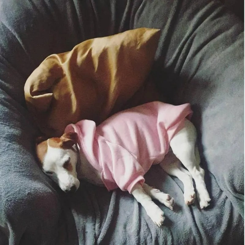 The Dog Face™ PawShield Hoodie