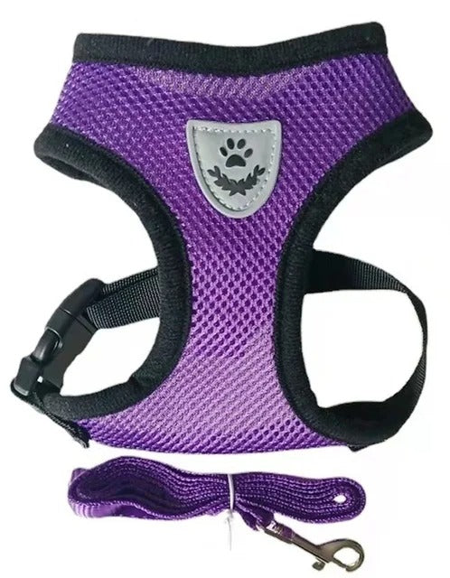 Real World Paws™ AirMesh Reflective Harness & Leash Set